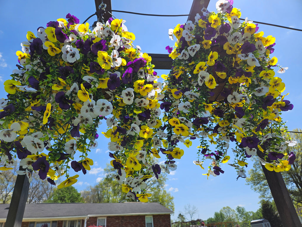Grand Pansy 14"