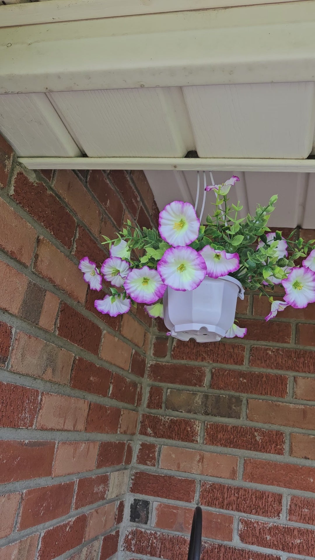Mini-Hanging Pot